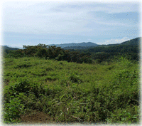 Real Estate in Costa Rica